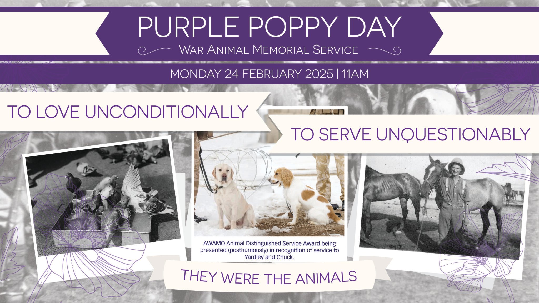 Purple Poppy Day 2025 - Visit Ruapehu.jpg